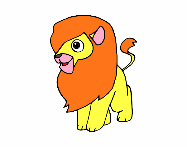 Un león