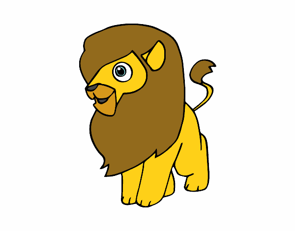 Un león