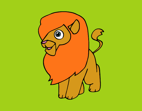 Un león