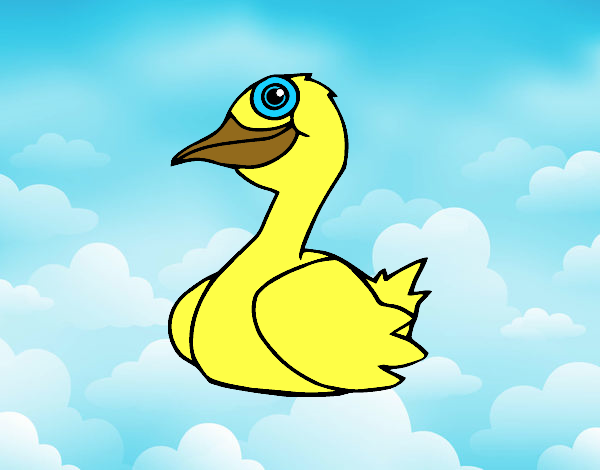 Un pato