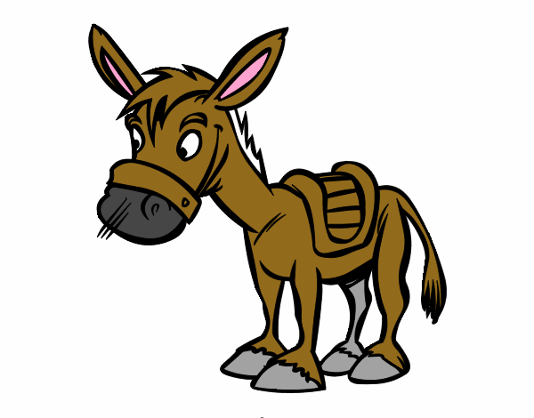 Burro de granja