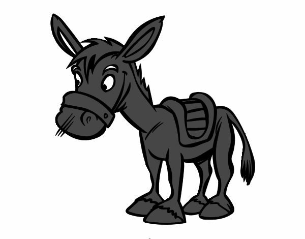 Burro de granja