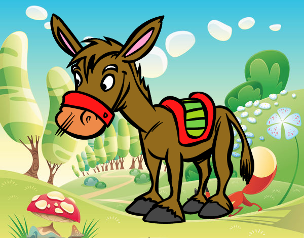 Burro de granja