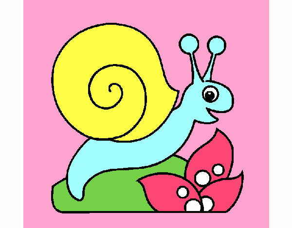 Caracol