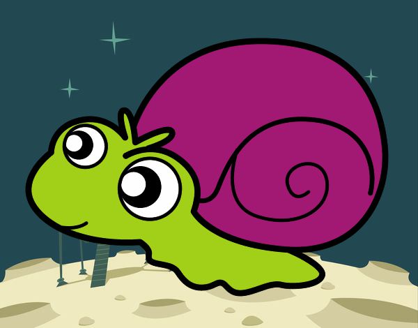 Caracol bebé