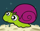 Caracol bebé