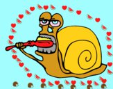 Caracol limpio