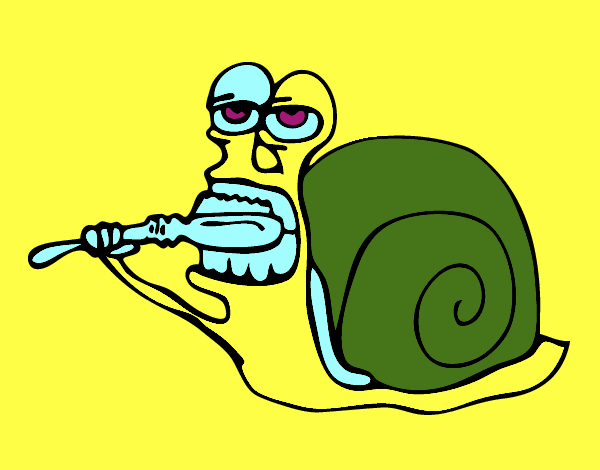 Caracol limpio