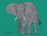 Elefante 1