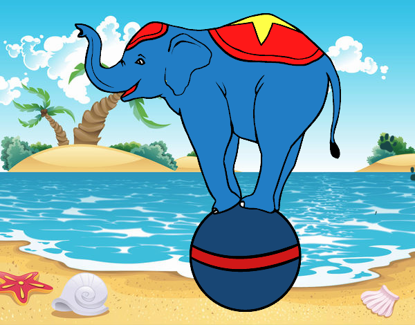 Elefante equilibrista