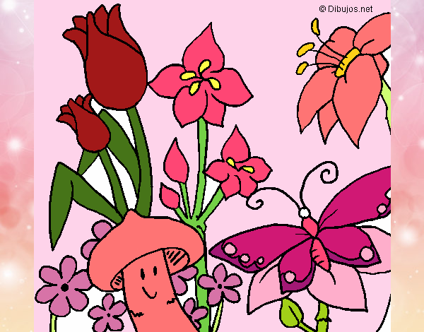 Dibujo De Fauna Y Flora Pintado Por En El Día 15 11 15 A Las 024004 Imprime 8176