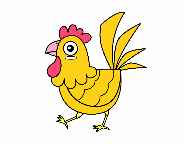 Gallina de granja