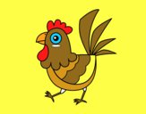 Gallina de granja