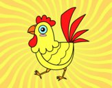 Gallina de granja