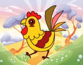 Gallina de granja