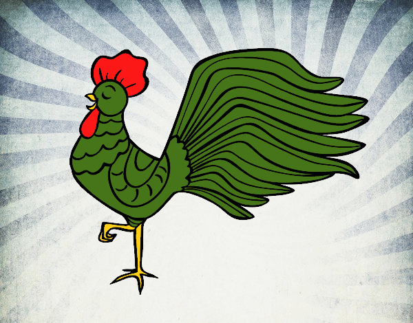 Gallo salvaje