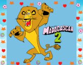 Madagascar 2 Alex 1