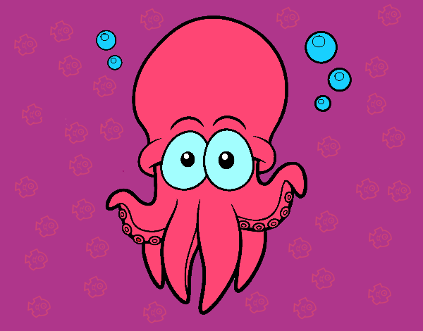 Pulpo rojo