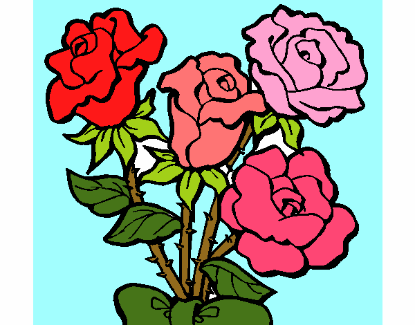 Ramo de rosas