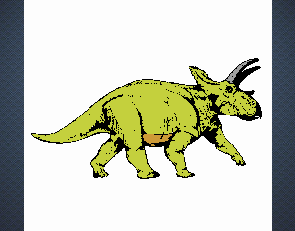 Triceratops 1