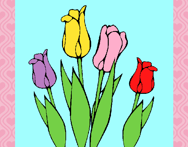 Tulipanes