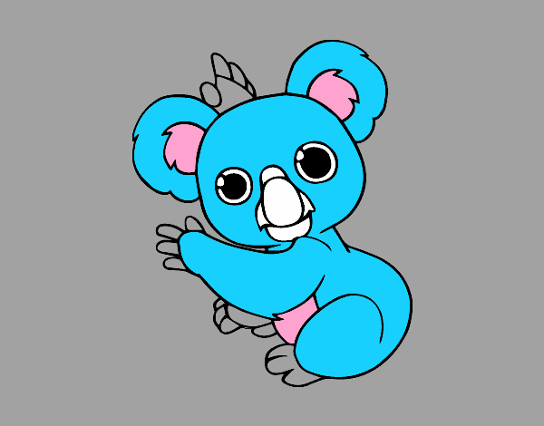 Un Koala