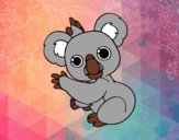 Un Koala