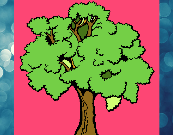 Árbol 1