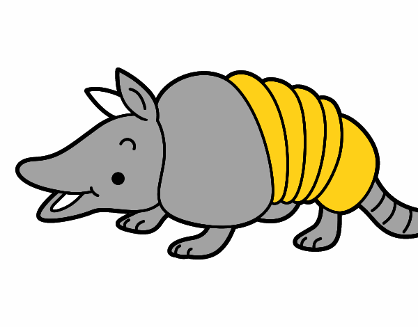 Armadillo joven