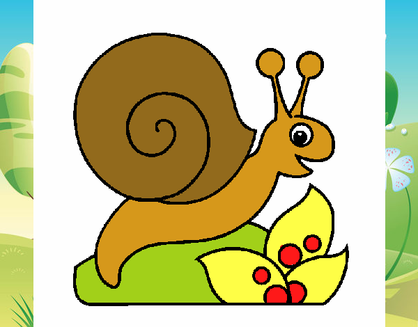 Caracol