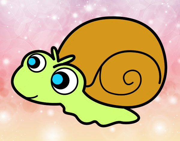 Caracol bebé