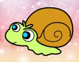 Caracol bebé