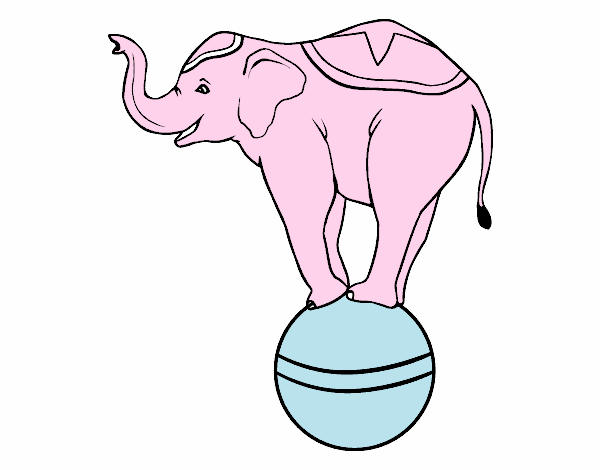 Elefante equilibrista