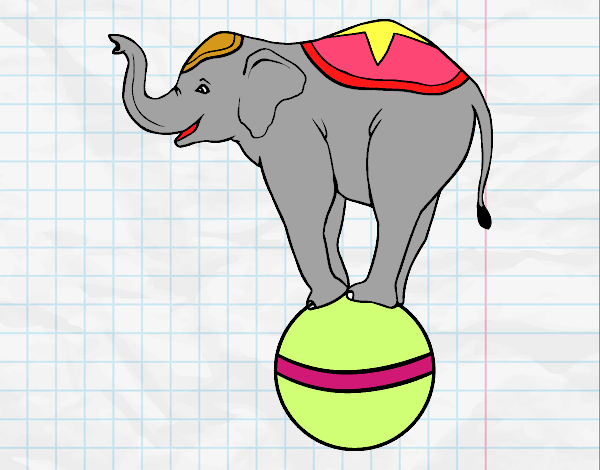 Elefante equilibrista