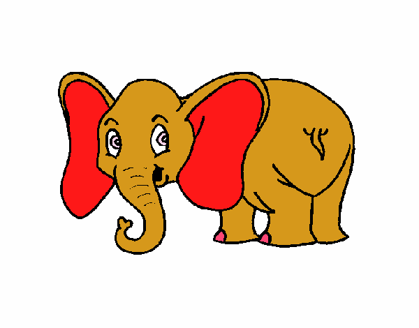 Elefante pequeño