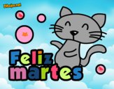 Feliz martes