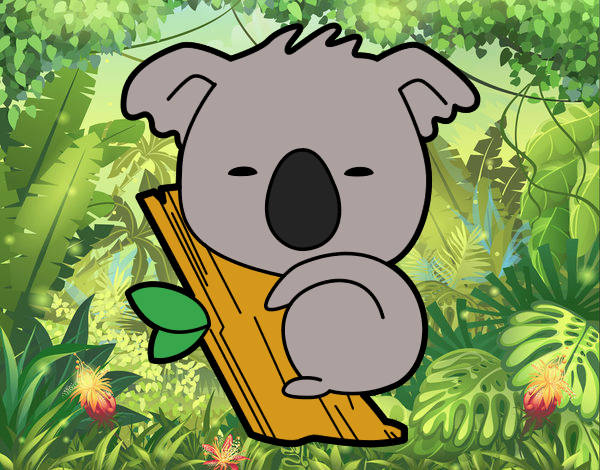 Koala bebé