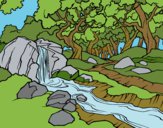 Dibujo Paisaje de bosque con un río pintado por queyla