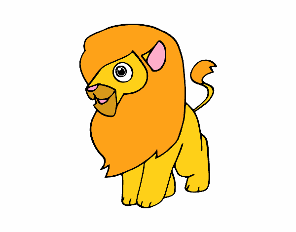 Un león