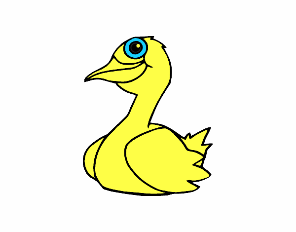 Un pato