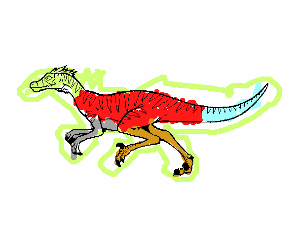 Velociraptor