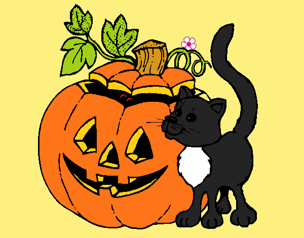 Calabaza y gato