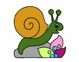 Caracol