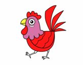 Gallina de granja