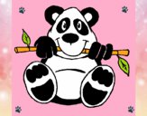 Oso panda