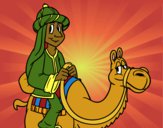 Rey Melchor en camello
