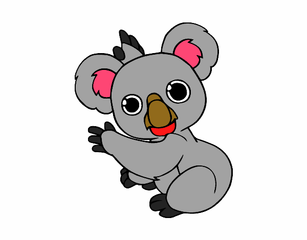 Un Koala