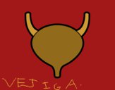 Vejiga