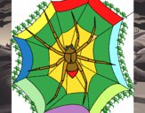 Araña