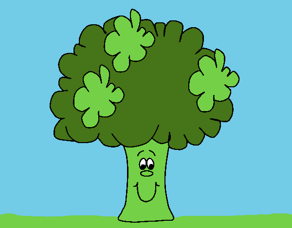 Brócoli 2